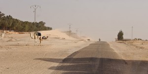 dune tunisia